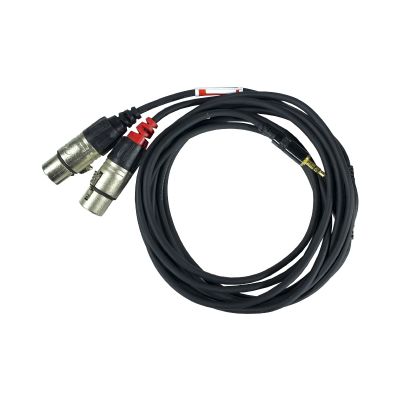 Cable mini Jack <> 2 x XLR/f 3m
